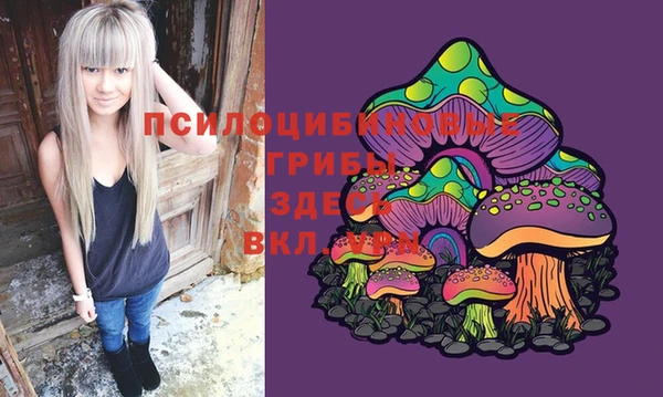 МДПВ Абинск