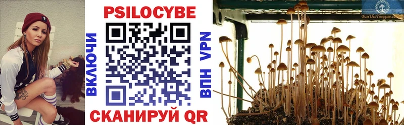 МЕГА ссылка  где продают наркотики  Сарапул  Псилоцибиновые грибы Psilocybine cubensis 